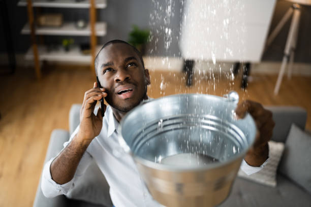 Best Water damage restoration company  in Blue Mountain, MS