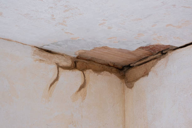 Local water damage restoration in Blue Mountain, MS