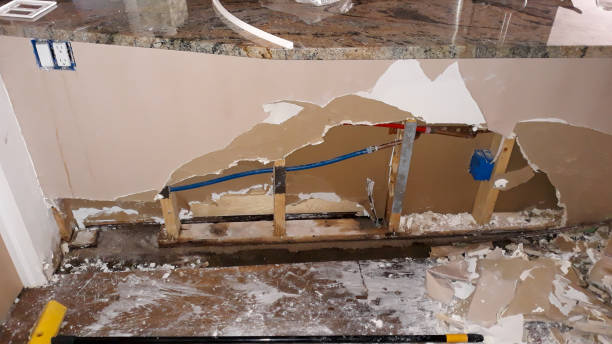 Best Ceiling water damage repair  in Blue Mountain, MS