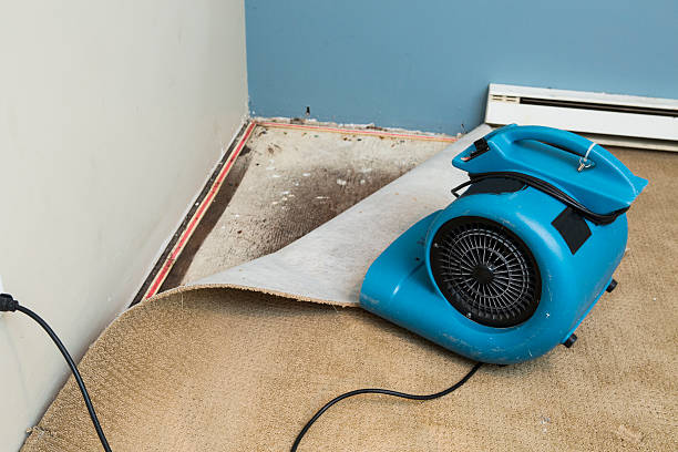 Water damage restoration process in Blue Mountain, MS